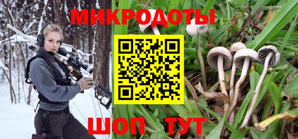 Галлюциногенные грибы MAGIC MUSHROOMS  купить наркотики цена  Мариинск  Галлюциногенные грибы мицелий  Вход с VPN 